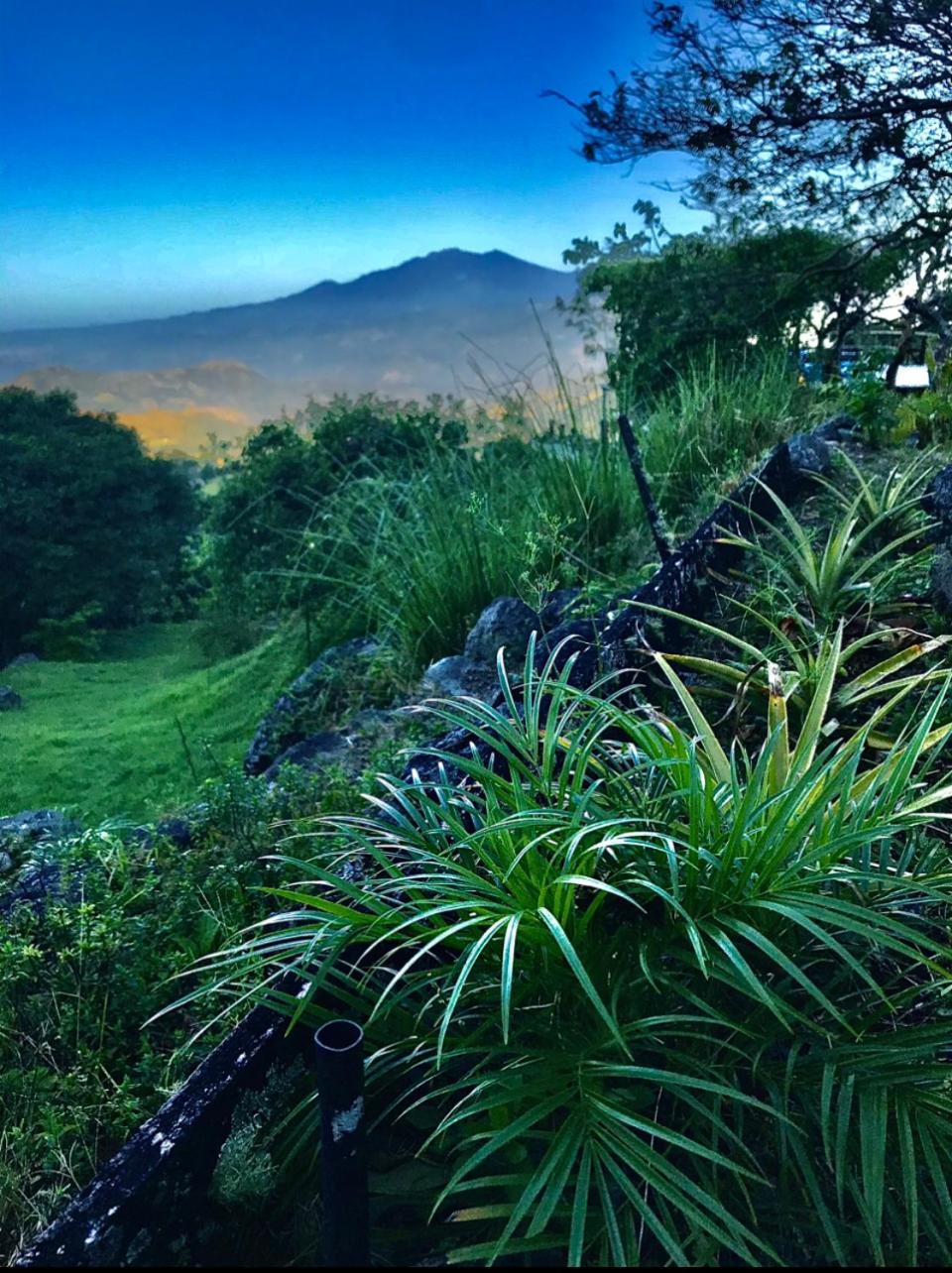 Valle HornitoEl Refugio La Brisa Del Diablo住宿加早餐旅馆 外观 照片